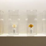 Cuál es la forma adecuada de limpiar el vidrio y los espejos dañados por el fuego